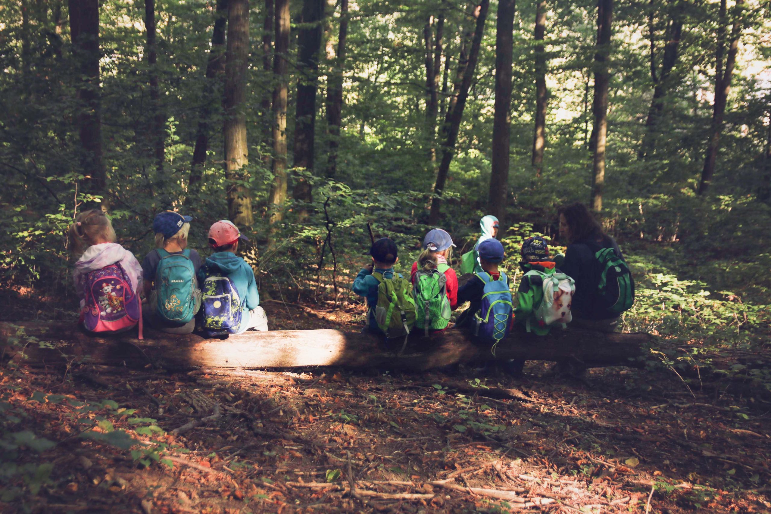 Detičky z lesného klubu ZAJO, so sprievodcom. Sediace na kmeni stromu v listnatom lese